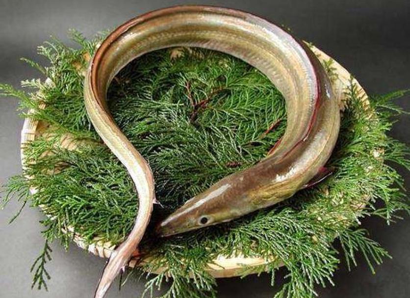 기타 사진