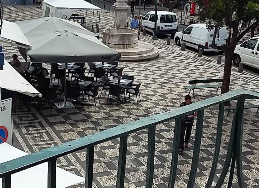 기타 사진
