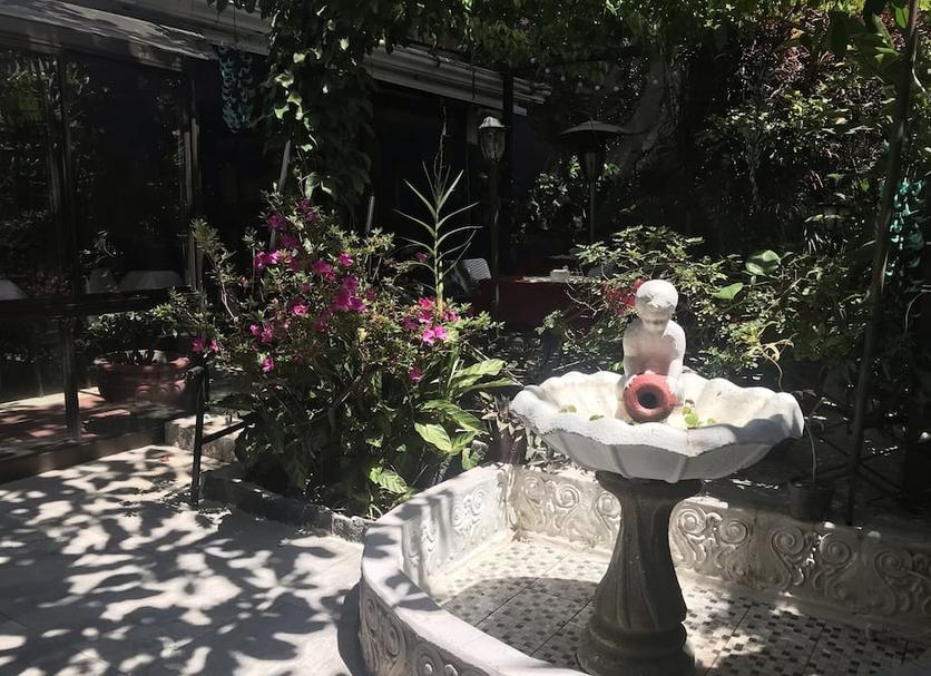 기타 사진