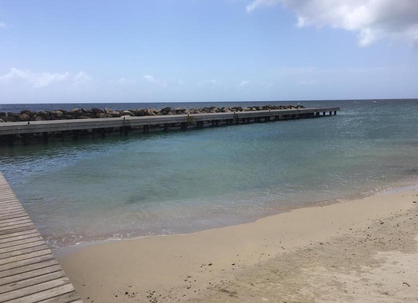 해변 사진