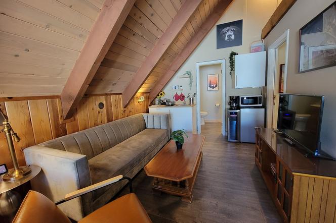 시나몬 베어 인