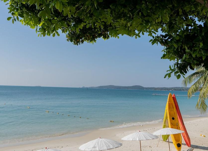 해변 사진