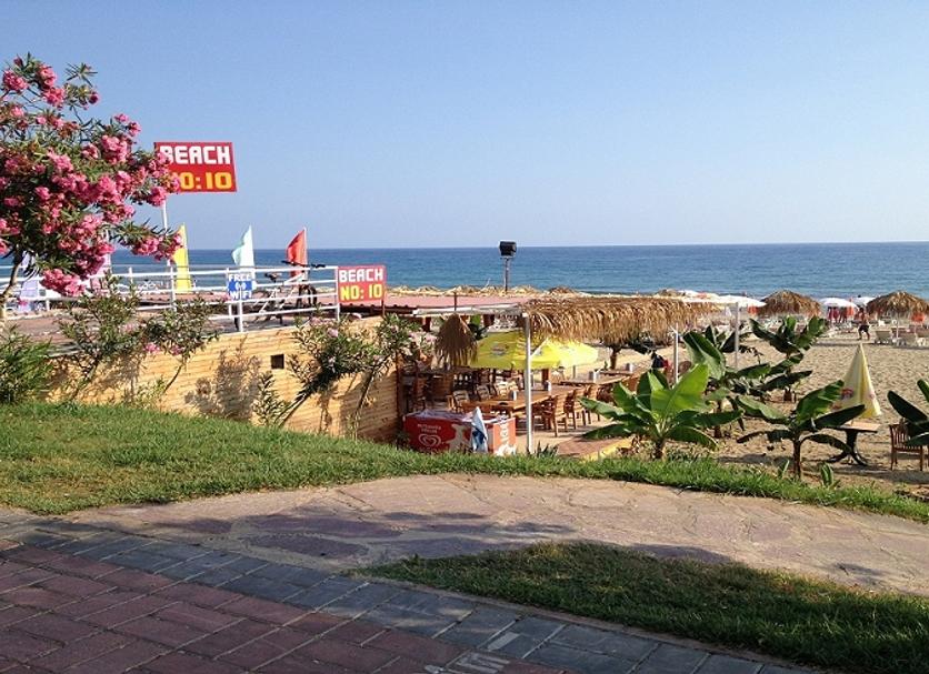 해변 사진