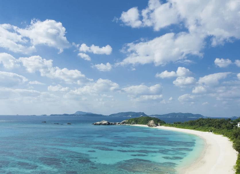 해변 사진
