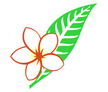 라오스항공